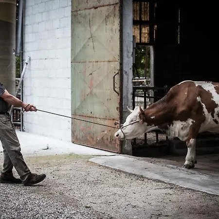 Dai Minisins Farmház