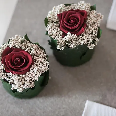 Dai Minisins * Savorgnano