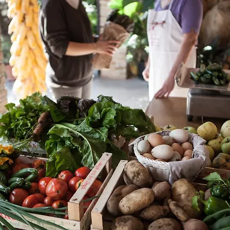 Dai Minisins Savorgnano