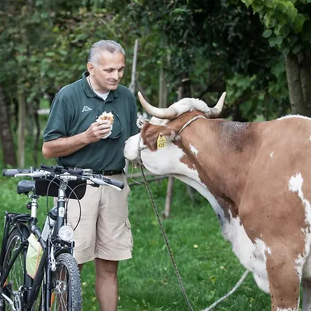 Farma Dai Minisins Savorgnano