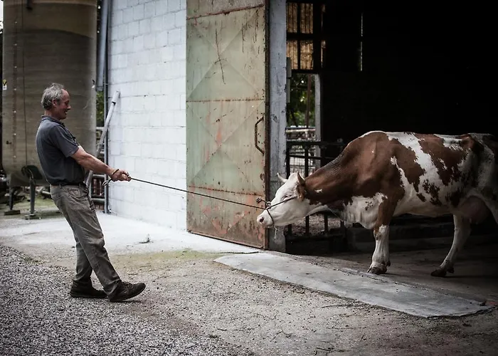Dai Minisins Farmház