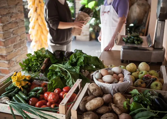 Dai Minisins Savorgnano