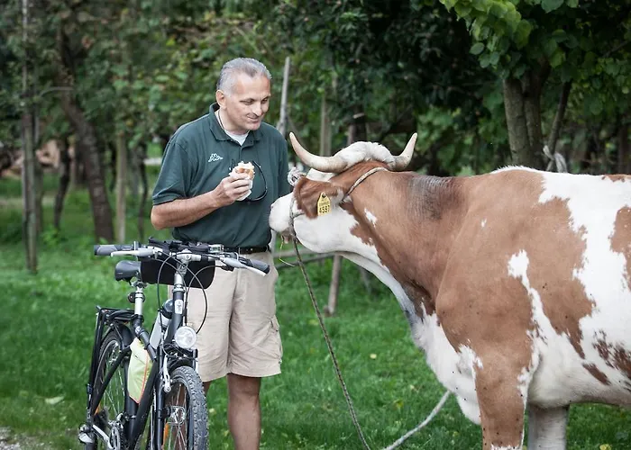 Farmház Dai Minisins Savorgnano